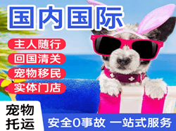 长安机场货运国际宠物托运 【国
